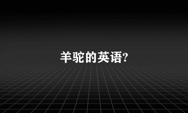 羊驼的英语?