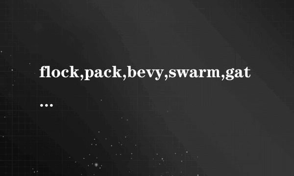 flock,pack,bevy,swarm,gathering都有群的意思,有什么区别?