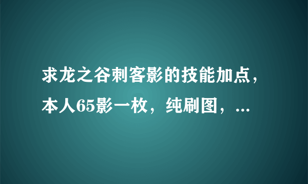 求龙之谷刺客影的技能加点，本人65影一枚，纯刷图，pk基本不进。
