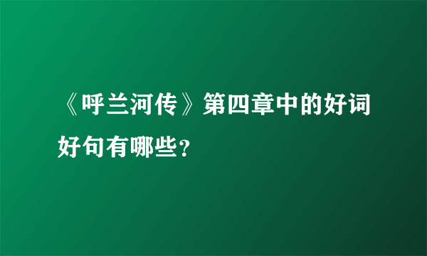 《呼兰河传》第四章中的好词好句有哪些？