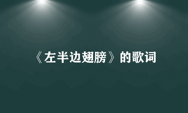 《左半边翅膀》的歌词
