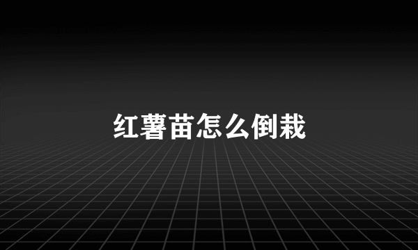 红薯苗怎么倒栽