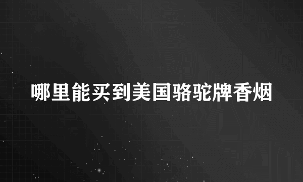 哪里能买到美国骆驼牌香烟