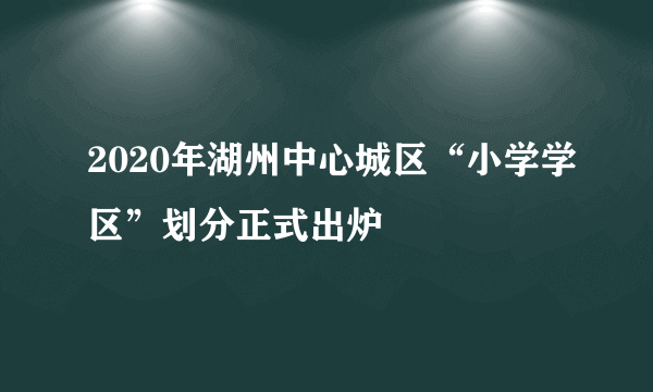 2020年湖州中心城区“小学学区”划分正式出炉