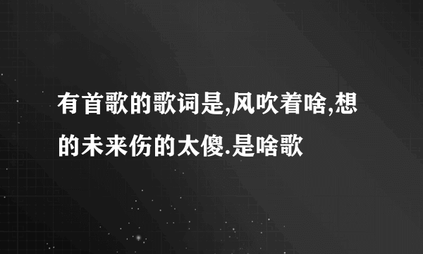 有首歌的歌词是,风吹着啥,想的未来伤的太傻.是啥歌