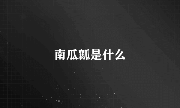 南瓜瓤是什么