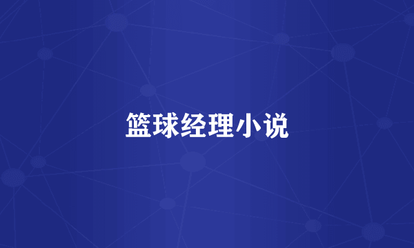 篮球经理小说