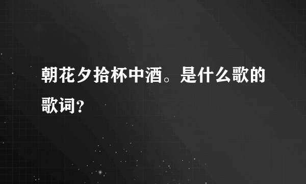 朝花夕拾杯中酒。是什么歌的歌词？