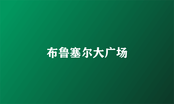 布鲁塞尔大广场