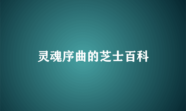 灵魂序曲的芝士百科