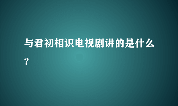 与君初相识电视剧讲的是什么？