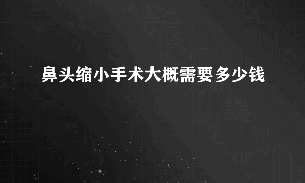 鼻头缩小手术大概需要多少钱