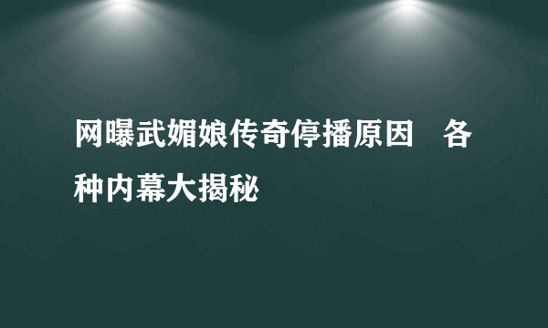 网曝武媚娘传奇停播原因   各种内幕大揭秘
