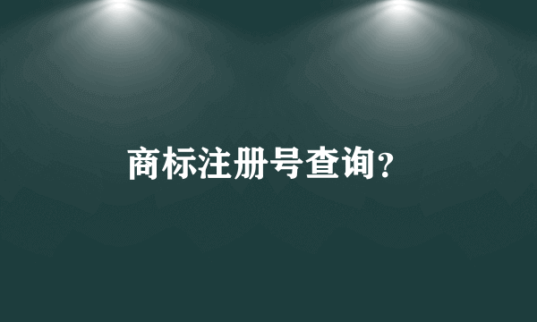 商标注册号查询？