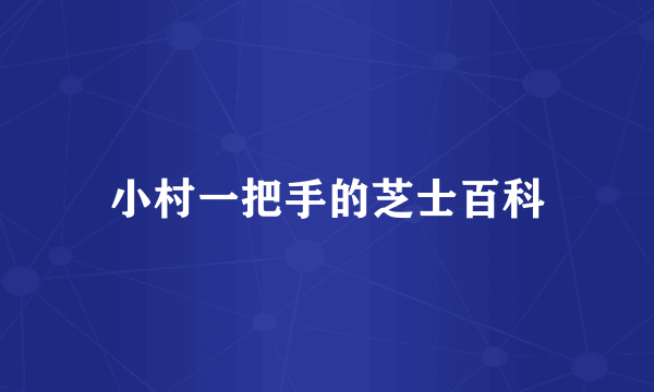 小村一把手的芝士百科