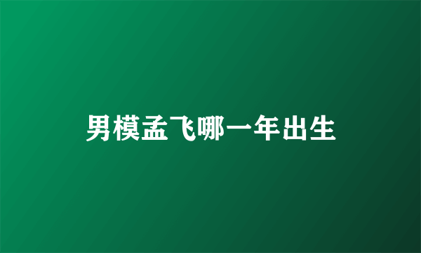 男模孟飞哪一年出生
