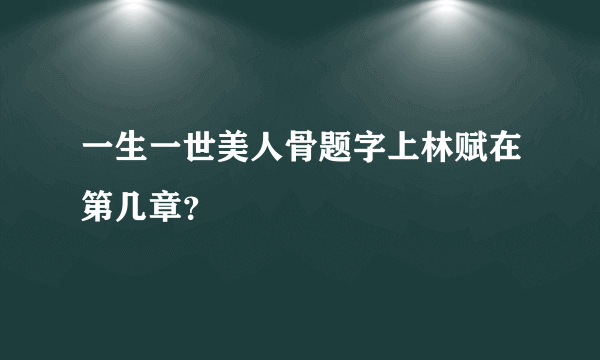 一生一世美人骨题字上林赋在第几章？