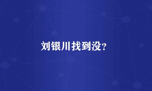 刘银川找到没？