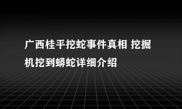广西桂平挖蛇事件真相 挖掘机挖到蟒蛇详细介绍