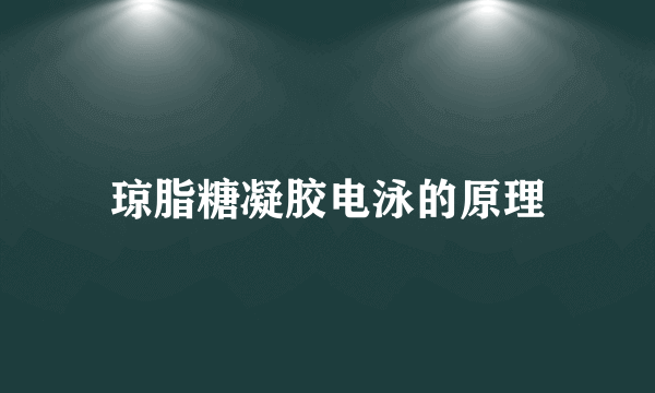 琼脂糖凝胶电泳的原理