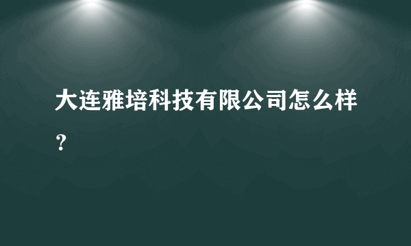 大连雅培科技有限公司怎么样？