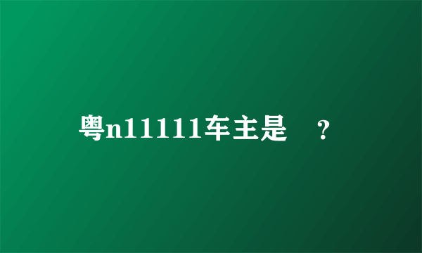 粤n11111车主是誰？