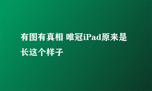 有图有真相 唯冠iPad原来是长这个样子