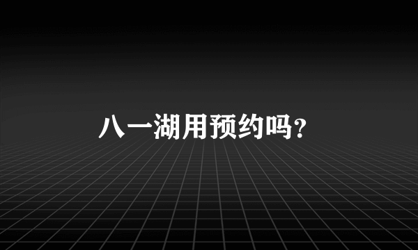 八一湖用预约吗？