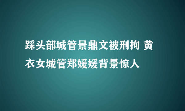 踩头部城管景鼎文被刑拘 黄衣女城管郑媛媛背景惊人