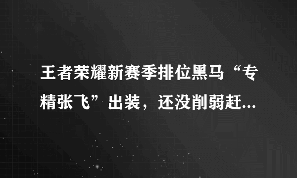 王者荣耀新赛季排位黑马“专精张飞”出装，还没削弱赶紧上分去！