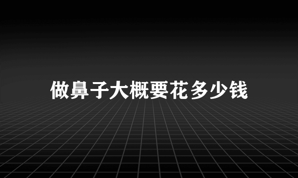 做鼻子大概要花多少钱