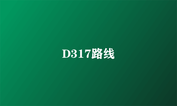 D317路线