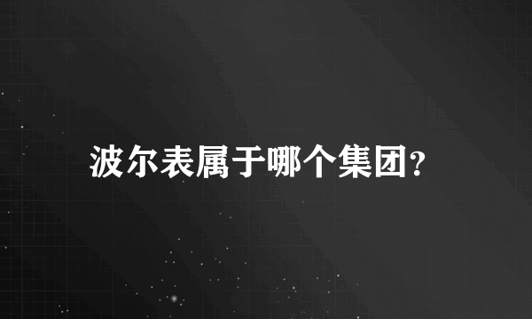 波尔表属于哪个集团？
