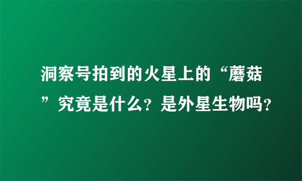 洞察号拍到的火星上的“蘑菇”究竟是什么？是外星生物吗？