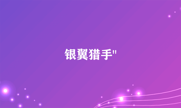 银翼猎手