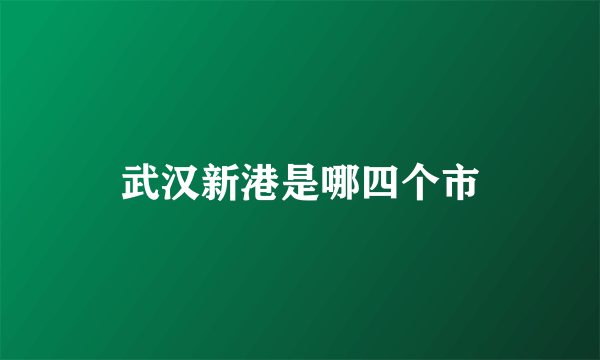 武汉新港是哪四个市