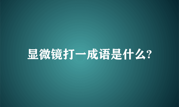 显微镜打一成语是什么?