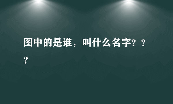 图中的是谁，叫什么名字？？？