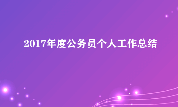 2017年度公务员个人工作总结