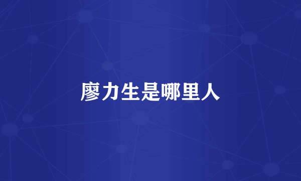 廖力生是哪里人