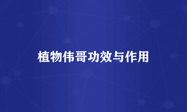 植物伟哥功效与作用