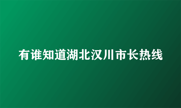 有谁知道湖北汉川市长热线