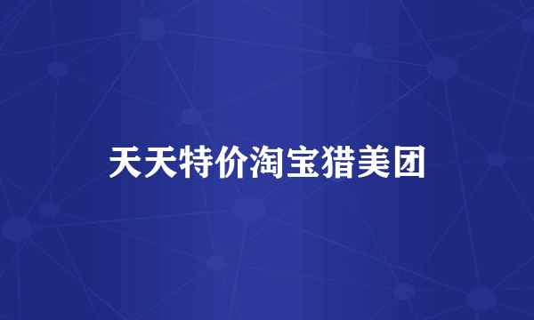 天天特价淘宝猎美团