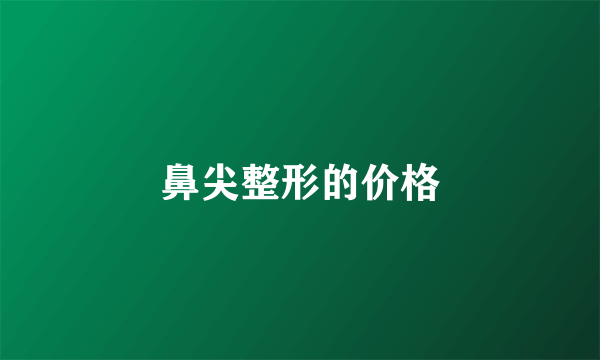 鼻尖整形的价格
