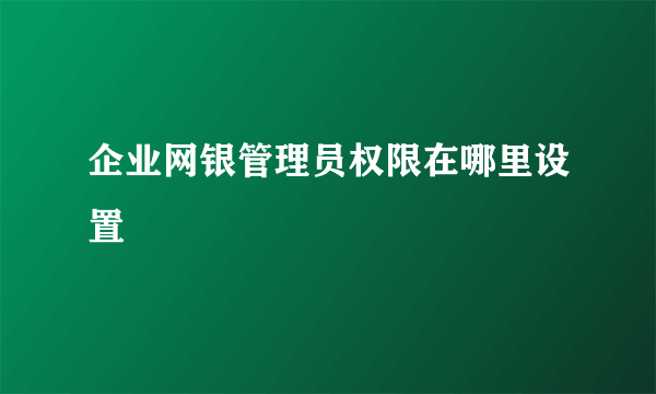 企业网银管理员权限在哪里设置