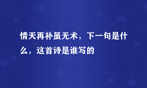 情天再补虽无术，下一句是什么，这首诗是谁写的