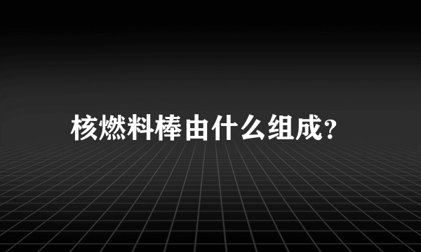 核燃料棒由什么组成？