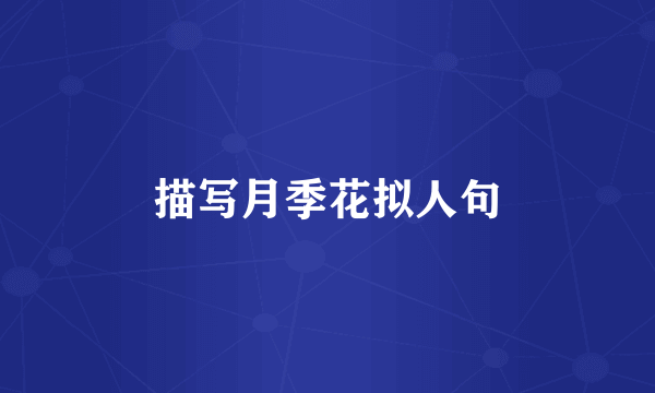 描写月季花拟人句