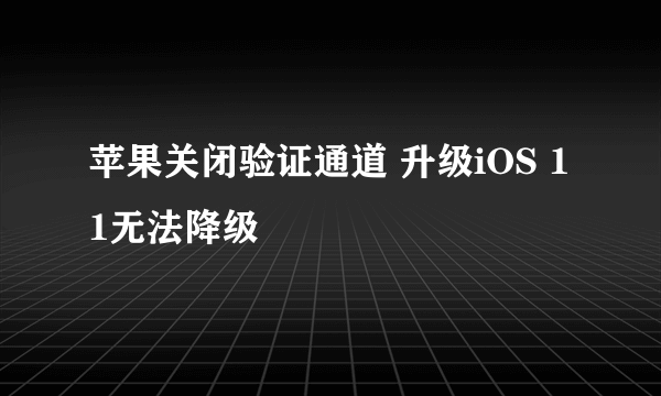 苹果关闭验证通道 升级iOS 11无法降级