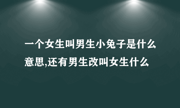 一个女生叫男生小兔子是什么意思,还有男生改叫女生什么